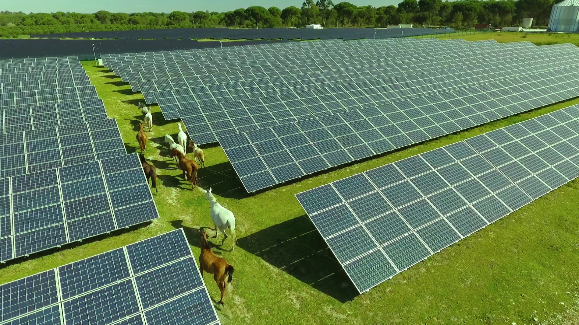 A Finerge subscreve os Objetivos de Desenvolvimento Sustentável da ONU