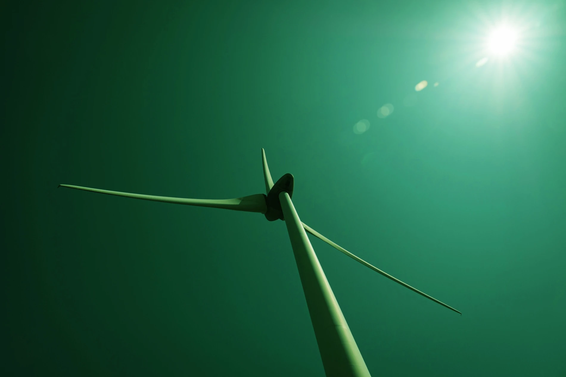 Não importa desde que seja renovável