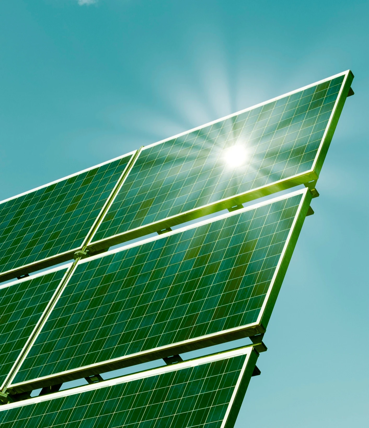 Não importa desde que seja renovável