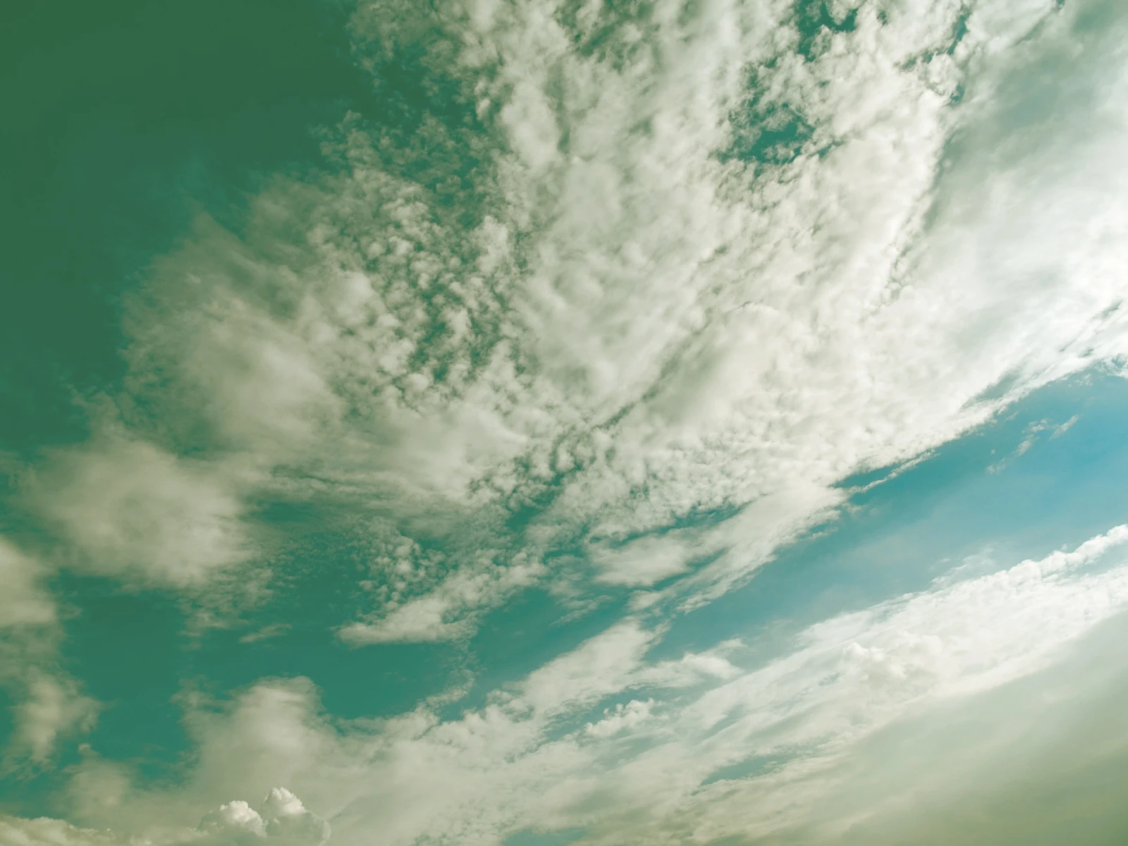 La naturaleza es energía.