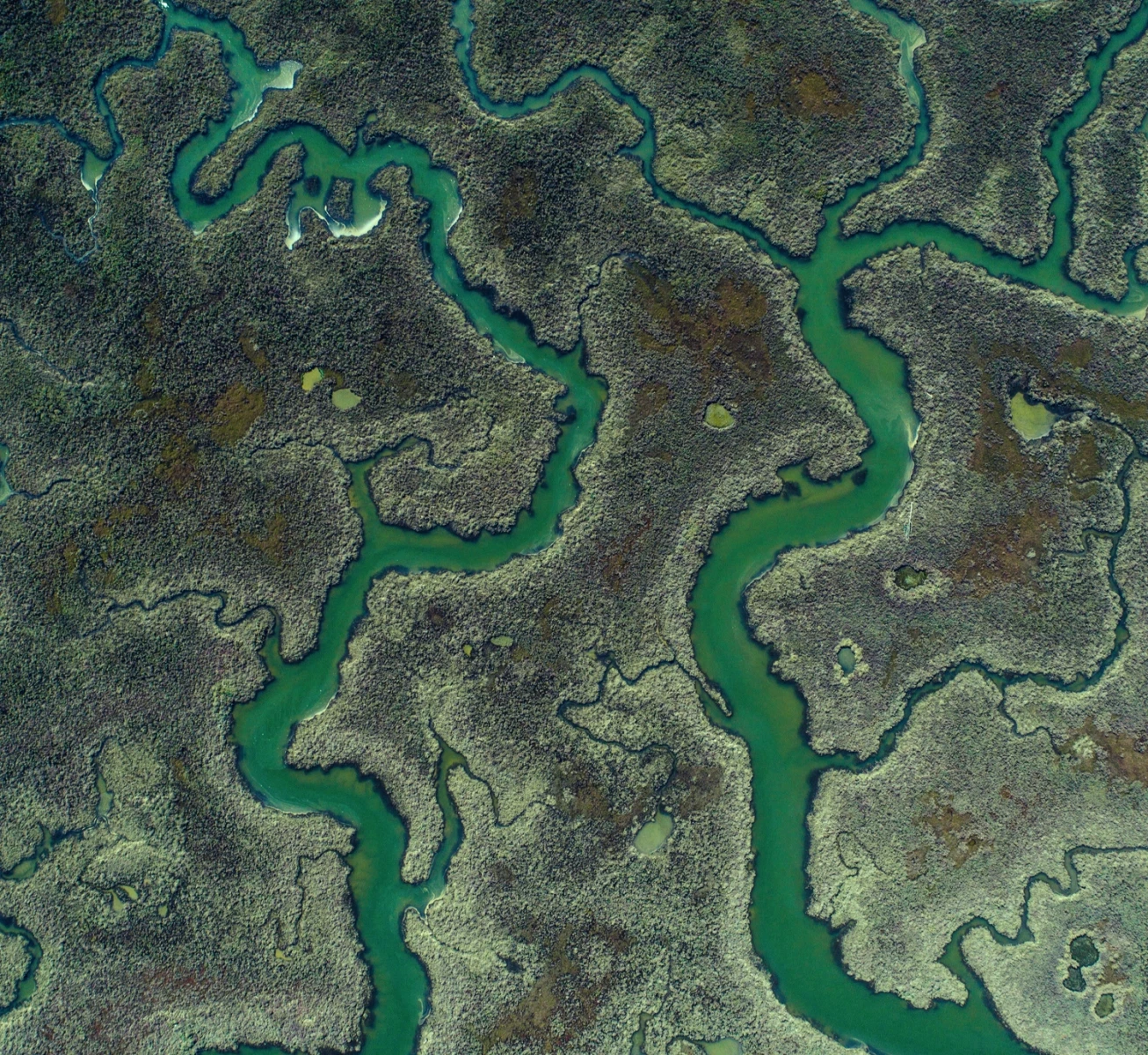 Hace más de 25 años siguiendo el mejor maestro: la naturaleza.